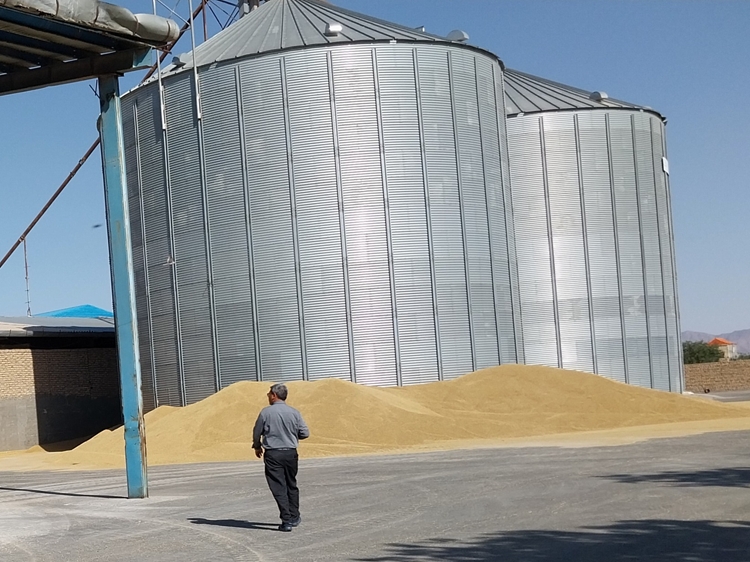 الزام به رعایت کلیه ضوابط بهداشتی و حضور مسئول فنی در کارخانجات تولید کننده خوراک دام 